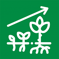 Стимуляторы