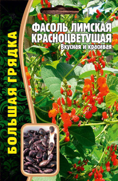 Фасоль Лимская Красноцветущая вьющаяся Большая грядка 5г (Ред.Сем)